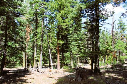 Hunting Property in Modoc County, California