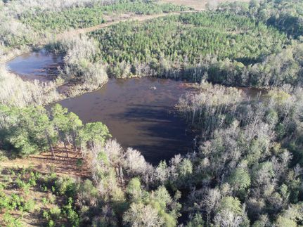 Undeveloped Land in Webster County, Georgia