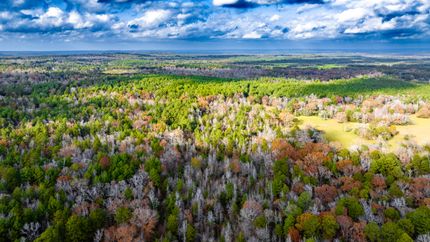 Undeveloped Land in Anderson County, Texas