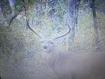 Farm and Ranch in Morgan County, Missouri
