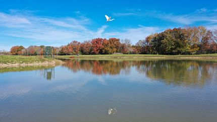 Undeveloped Land in Brazos County, Texas