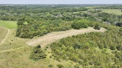 Timberland Property in Wayne County, Iowa