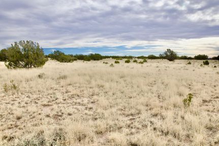 Undeveloped Land in Apache County, Arizona
