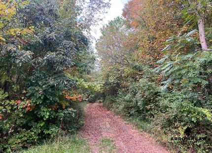 Recreational Property in Gallia County, Ohio