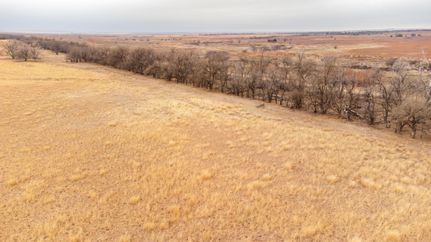Timberland Property in Wheeler County, Texas