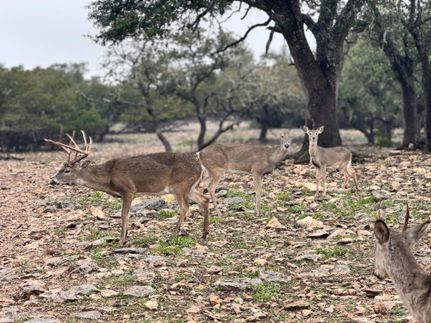 Recreational Property in Gillespie County, Texas
