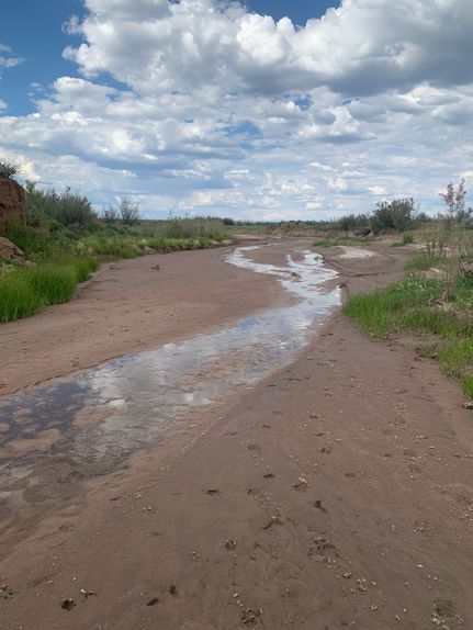 Hunting Property for sale in Rio Arriba County, New Mexico