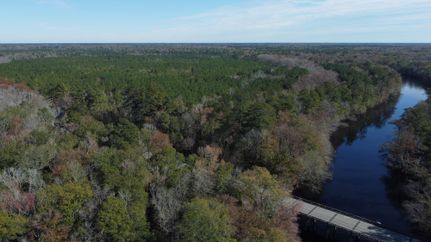 Timberland Property in Orangeburg County, South Carolina