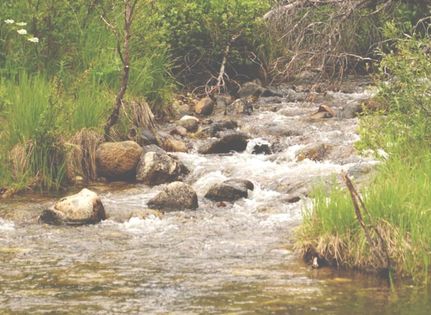 Riverfront Property in Clear Creek County, Colorado