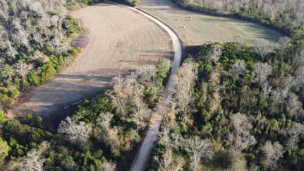 Commercial Property in Lexington County, South Carolina