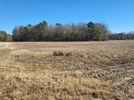 Farm and Ranch in Clarendon County, South Carolina
