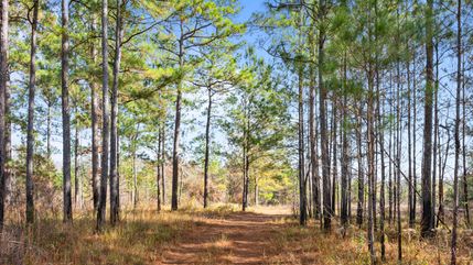 Recreational Property in Mobile County, Alabama