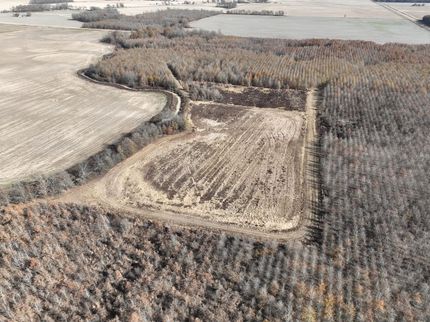 Timberland Property in Quitman County, Mississippi