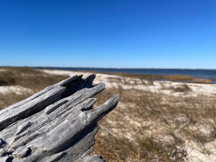 Riverfront Property in Carteret County, North Carolina
