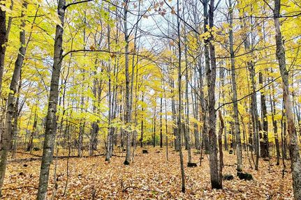 Farm and Ranch in Marinette County, Wisconsin