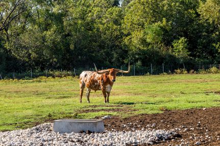 Farm and Ranch in Washington County, Texas