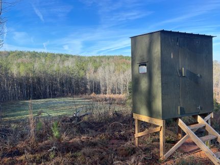 Undeveloped Land in Hale County, Alabama