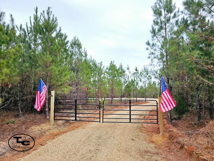 Farm and Ranch in Marengo County, Alabama