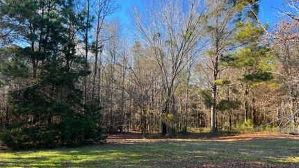 Undeveloped Land in Cass County, Texas