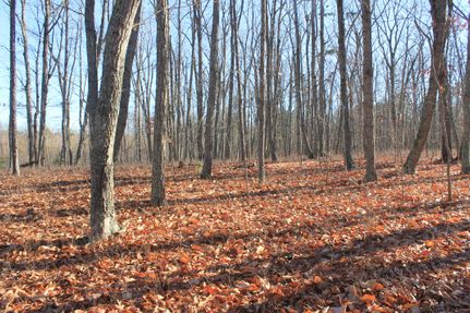 Undeveloped Land in Louisa County, Virginia