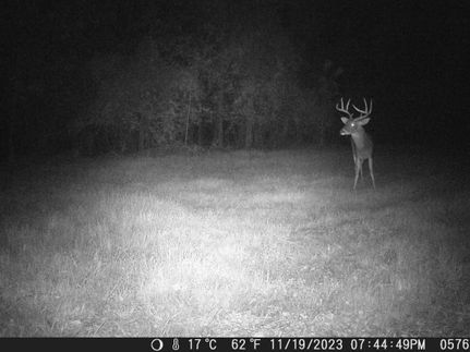 Farm and Ranch in DeSoto Parish, Louisiana