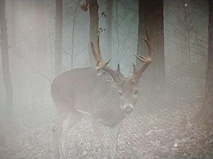 Recreational Property in Adams County, Ohio