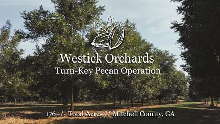 Land in Mitchell County, Georgia