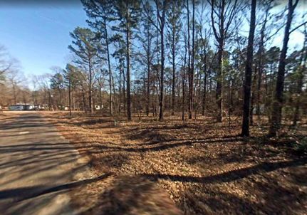 Undeveloped Land in Marion County, Texas
