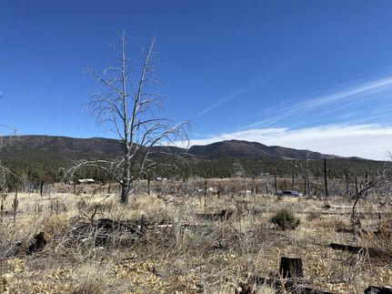 Timberland Property in Otero County, New Mexico