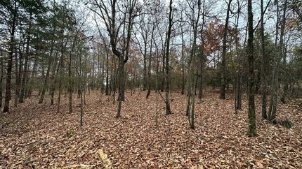 Farm and Ranch in Jackson County, Arkansas