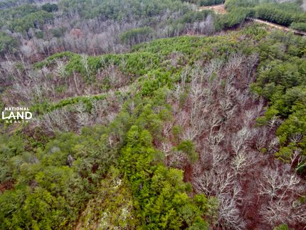 Undeveloped Land in Blount County, Alabama