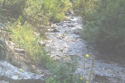Timberland Property in Boise County, Idaho