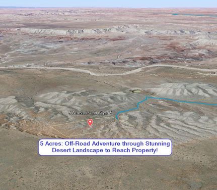 Timberland Property in Navajo County, Arizona
