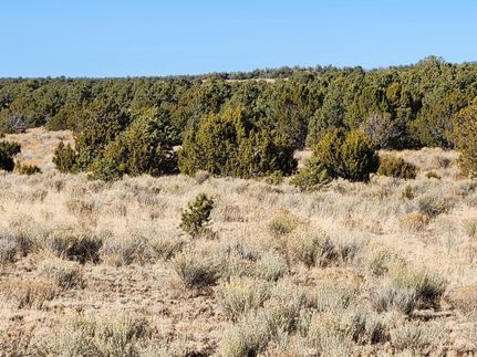 Farm and Ranch for sale in Catron County, New Mexico