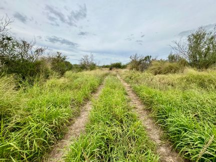 Land in Jim Wells County, Texas