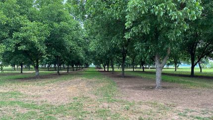 Farm and Ranch in Conway County, Arkansas