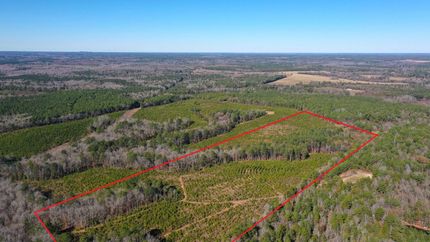 Recreational Property in Cass County, Texas