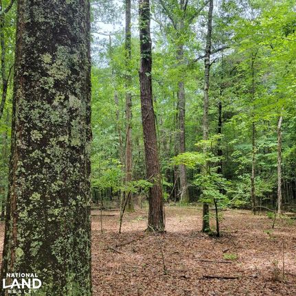 Farm and Ranch in Pike County, Alabama