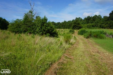 Land in Tuscaloosa County, Alabama