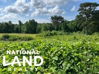 Recreational Property in Cherokee County, Alabama