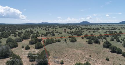 Undeveloped Land for sale in Cibola County, New Mexico