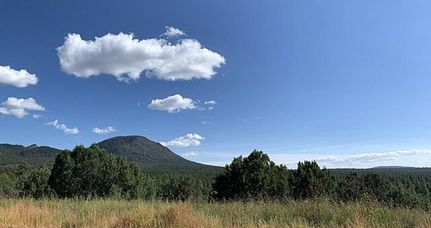 Riverfront Property in Mohave County, Arizona