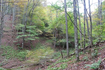 Farm and Ranch in Potter County, Pennsylvania