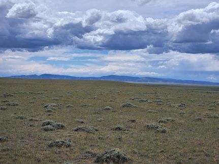 Timberland Property in Albany County, Wyoming
