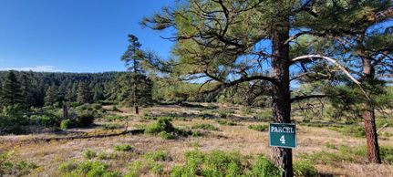 Land in La Plata County, Colorado