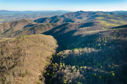 Timberland Property in Rockbridge County, Virginia