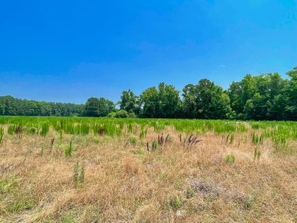 Timberland Property in Dillon County, South Carolina
