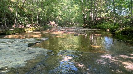 Recreational Property in Metcalfe County, Kentucky