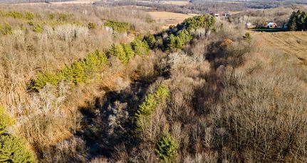 Timberland Property in Vernon County, Wisconsin