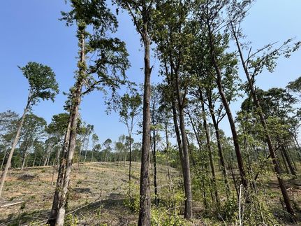Farm and Ranch in Franklin County, Alabama